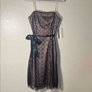 Adrianna Papell Strapless Black Lace Dress with Pink Base size 6